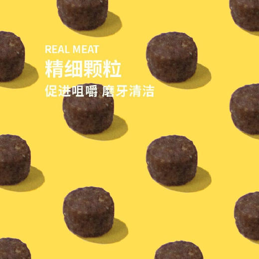 诚实一口P40高蛋白全期全价增肥发腮猫粮 商品图2