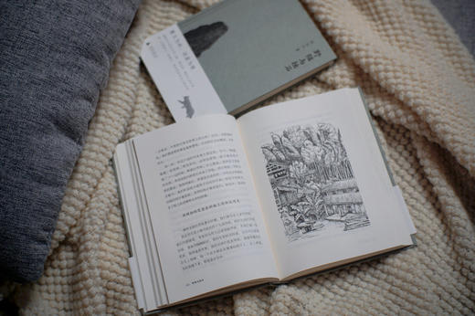 【“云端书展”专区】野猫与拙石     张远伦/著   买一得三 商品图4