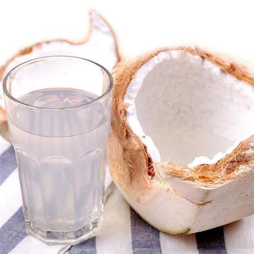 泰国香水椰青9个装（单果约900g） 商品图5