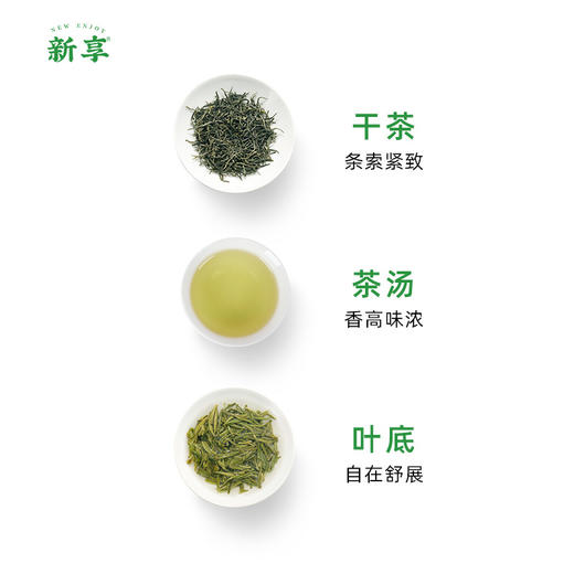 文新新享每日茶（信阳毛尖茶） 商品图2