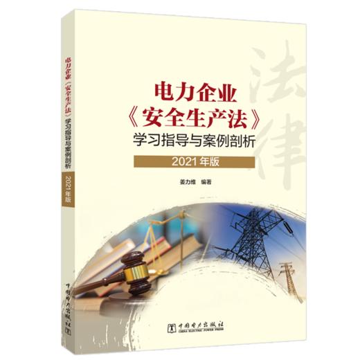 电力企业《安全生产法》学习指导与案例剖析（2021年版） 商品图0
