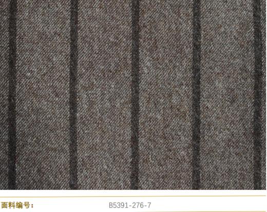 Cerruti 1881 B5391-276-7 商品图0