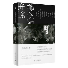 新民说  看不见的生活   赵志明/著
