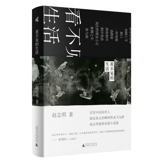 新民说  看不见的生活   赵志明/著 商品图0