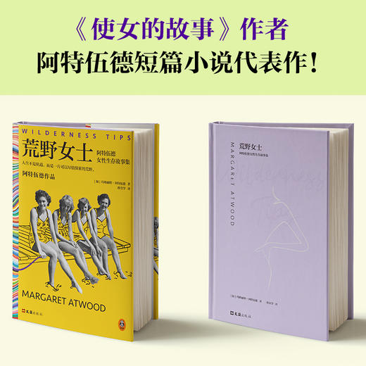 荒野女士：阿特伍德女性生存故事集 商品图2