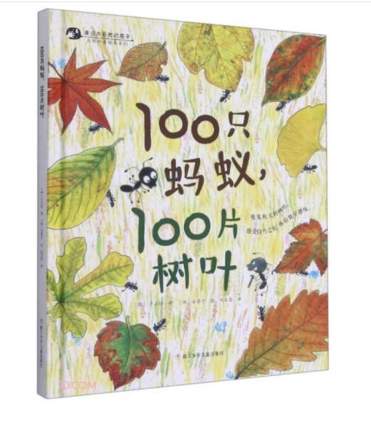 秋天系列绘本 商品图2