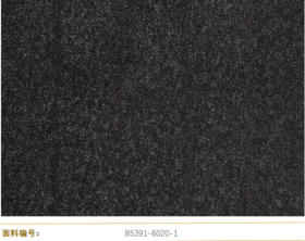 Cerruti 1881 B5391-6020-1