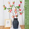 【年宵果实类】仿真水果系列/新年果实累累（大柿子/红石榴/黄金果） 商品缩略图7