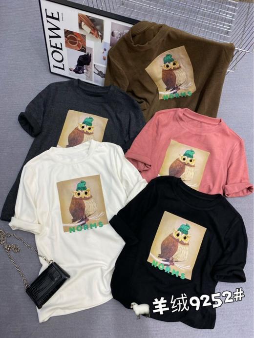 女圆领中T9252 商品图0
