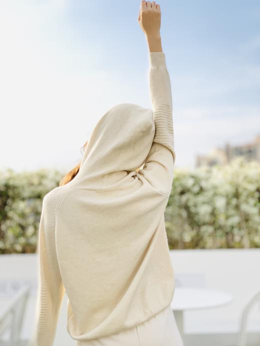 【百图lulu定制】【自由连帽衫】仿羊绒 针织毛衣 连帽衫 商品图2