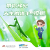 【河南自博-研学】带你“豫”见天生的猎手-螳螂 商品缩略图0
