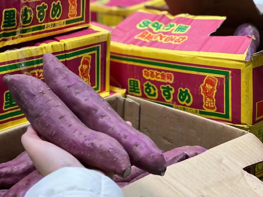 【全国包邮】日本地瓜~鲜艳的外观让人很有食欲,像栗一样吃起来口感