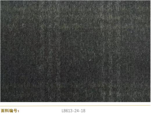 Cerruti 1881 L8613-24-18 商品图0