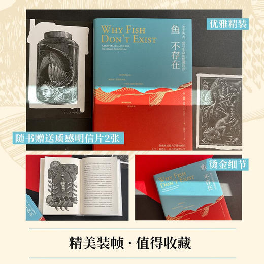 鱼不存在 露露·米勒 著 文学 商品图3