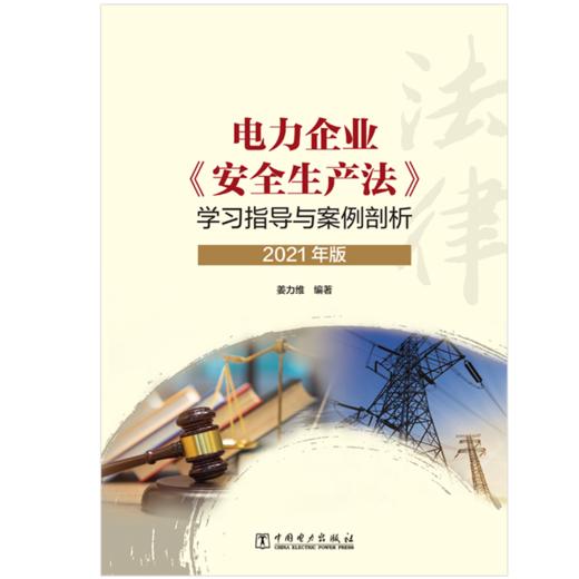 电力企业《安全生产法》学习指导与案例剖析（2021年版） 商品图1