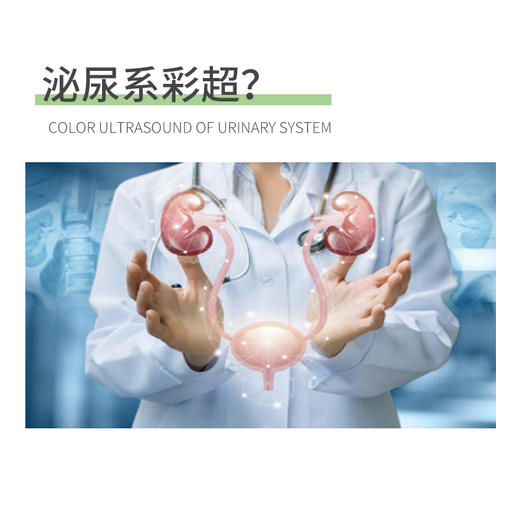 彩超检查三选一（腹部、甲状腺、泌尿系）（武夷山分院） 商品图3