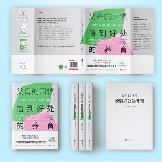 父母的习惯:恰到好处的养育智慧型父母的80个习惯养出内驱力强大的孩子多湖辉焦虑父母的养育术家教经典 商品图3