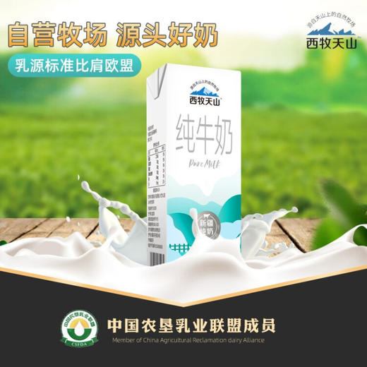 【线下专用】西牧天山新疆纯奶整箱全脂牛奶盒装学生儿童营养早餐奶200ml*12盒 商品图3