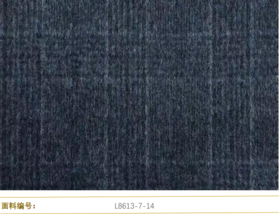 Cerruti 1881 L8613-7-14