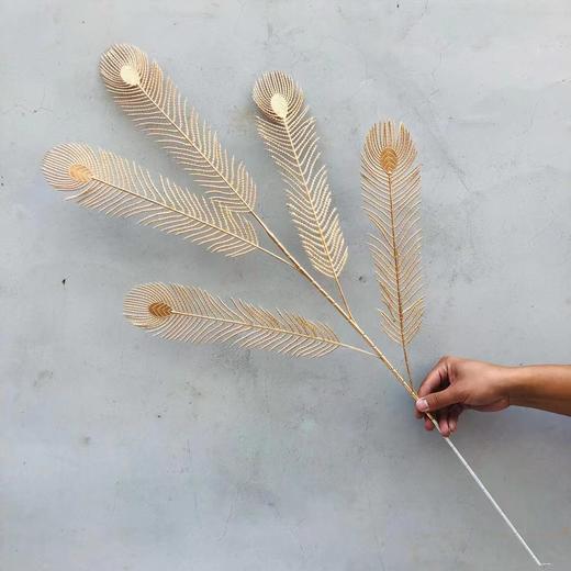 【年宵花】金叶子金色花材系列（上新木绣球） 商品图10