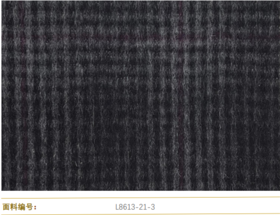 Cerruti 1881 L8613-21-3