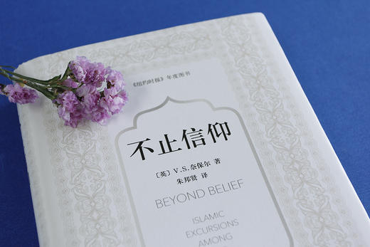 (仓发) 奈保尔：不止信仰/南海出版公司/[英]V.S.奈保尔/9787544283113 商品图3
