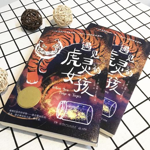 《遇见虎灵的女孩》 商品图3