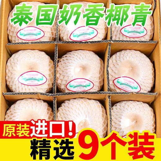 泰国香水椰青9个装（单果约900g） 商品图0