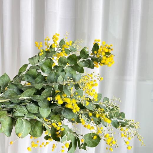 【合金欢.轻奢】1扎约3-4支/份  毛毛茸茸的很是可爱 可做干花保存 花语及时享乐 商品图8