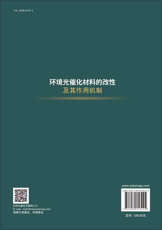 环境光催化材料的改性及其作用机制/李宇涵，段有雨 商品图1