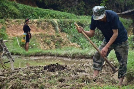 云南元阳红米——来自世遗之地的梯田好米 商品图5