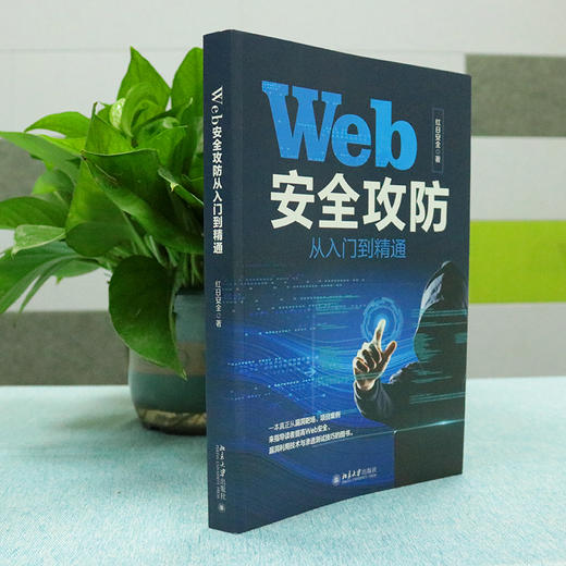 Web安全攻防从入门到精通 红日安全 北京大学出版社 商品图3