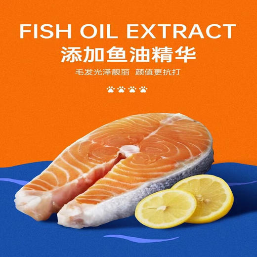 雷米高澳丽得海洋鱼味成幼猫粮猫增肥发腮通用主粮500g 商品图3