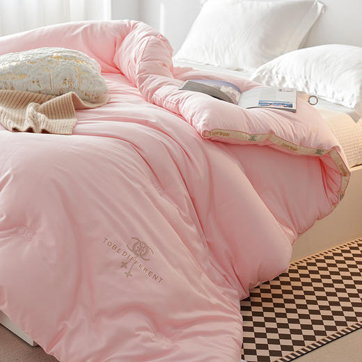 自然醒小香风烫钻绣花立体冬被 保暖亲肤秋冬被芯双人加厚冬季被子LFS 商品图3