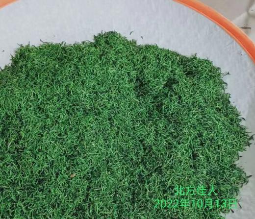 【茶馆茶叶】小众茶第46期丨【北方佳人】寒露白毫青茶 商品图6