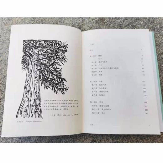 寻找金丝雀树:关于一位科学家、一株柏树和一个不断变化的世界的故事（自然文库） 商品图2