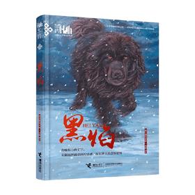 黑焰 插图版 格日勒其木格·黑鹤 著 儿童文学