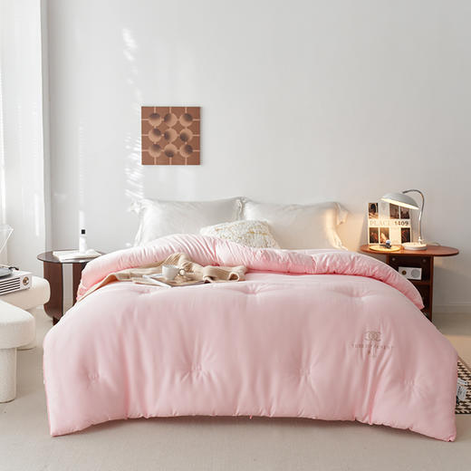 自然醒小香风烫钻绣花立体冬被 保暖亲肤秋冬被芯双人加厚冬季被子LFS 商品图0