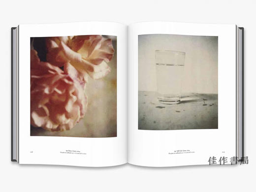 The Essential Cy Twombly /必不可少的塞·托姆布雷 商品图4