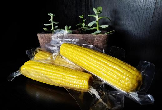 【臻选推荐】马老面鲜食玉米  9支装/箱    黄糯玉米 / 黑糯玉米 商品图6