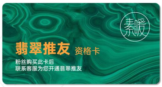 翡翠推友资格卡 商品图0