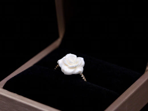 猛犸五叶花戒指 商品图0