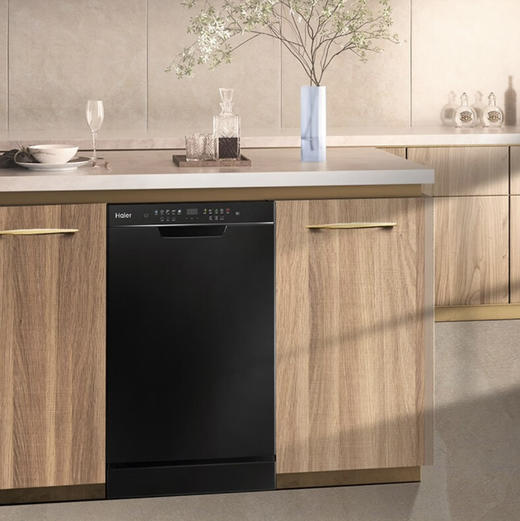 海尔（Haier）洗碗机 EYW101286BKTU1 商品图0