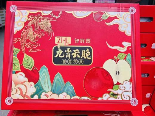 九霄云脆苹果| 水果 商品图1