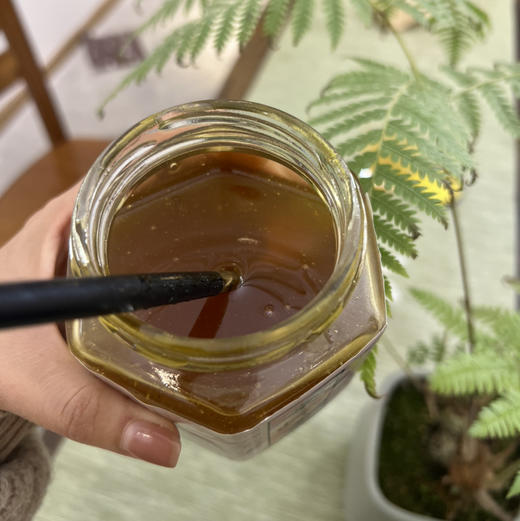 【秦岭野生蜂蜜500g/瓶】秦岭大巴山深处的野生百花药蜜 每年只收割一次 每一滴蜜都来之不易 商品图2