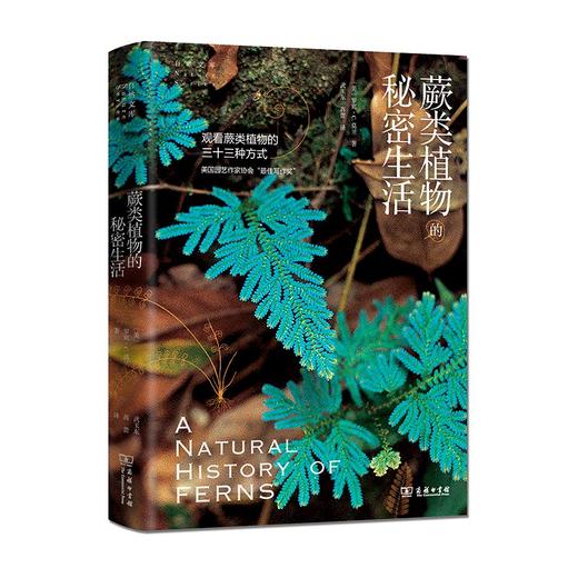 蕨类植物的秘密生活（自然文库） 商品图0
