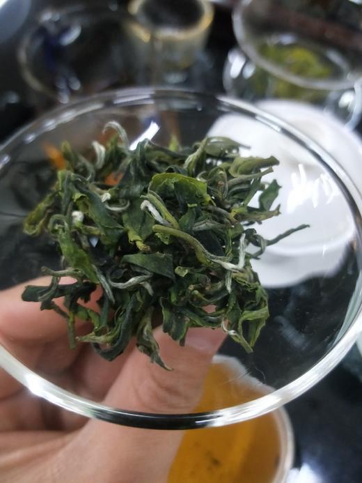 【茶馆茶叶】小众茶第46期丨【北方佳人】寒露白毫青茶 商品图2
