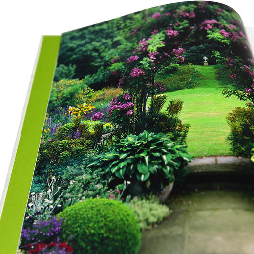 英国皇家园艺学会园艺修剪手册 商品图5