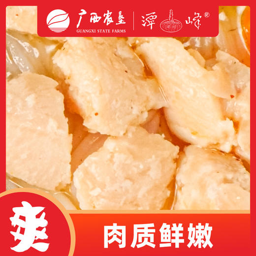 【广西外运】桶装鸡肉粉  速食居家寝室办公懒人 6桶/箱 商品图4
