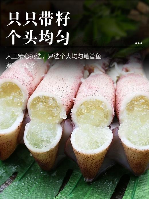 全母满籽籽乌 笔管鱿鱼 商品图2